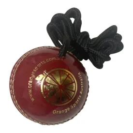 Hanging Training Cricket Ball Plastic